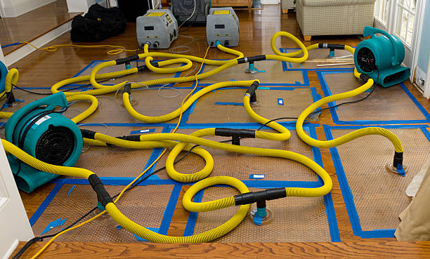 Professional Sewage Cleanup technician working in Bingen, WA